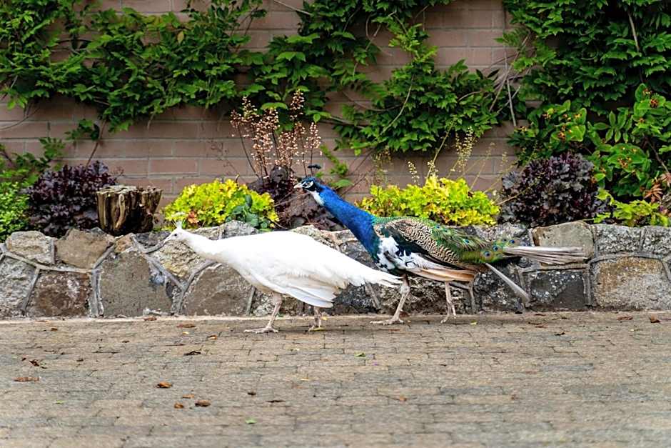 Dunadry Hotel And Gardens