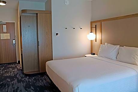 Room, 1 King Bed