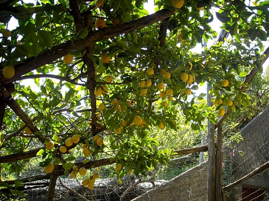 Il Rifugio del Poeta