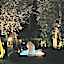 Piccola Vela