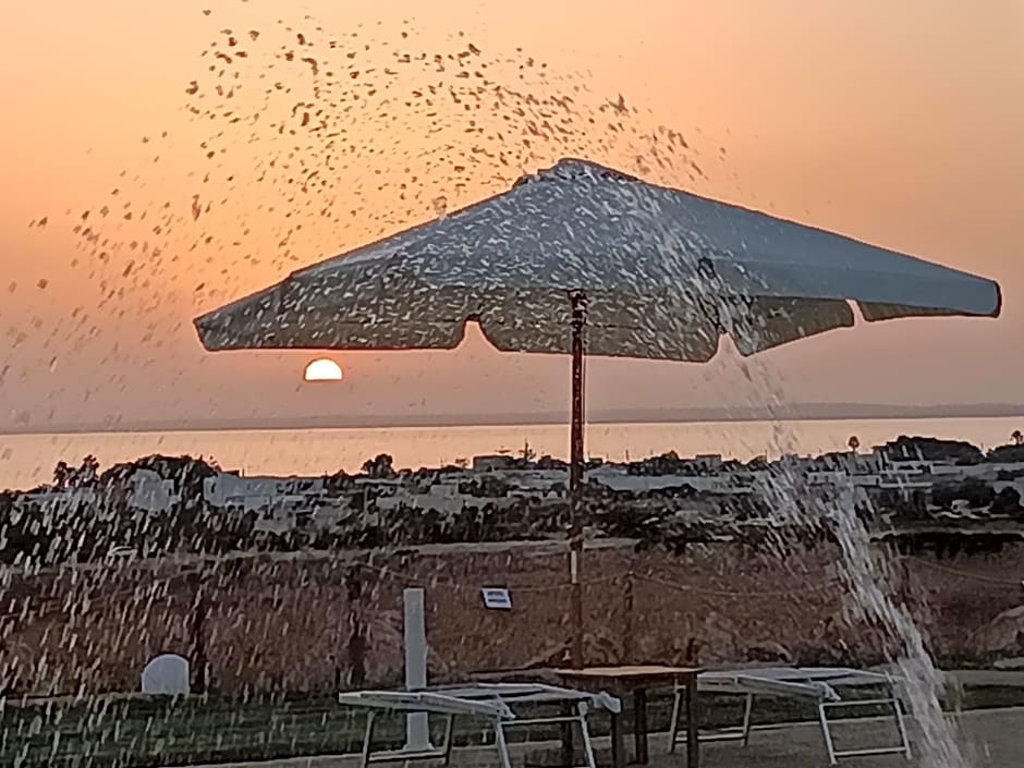 Il giardino dei tramonti