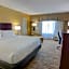 Holiday Inn St. Petersburg N - Clearwater By IHG