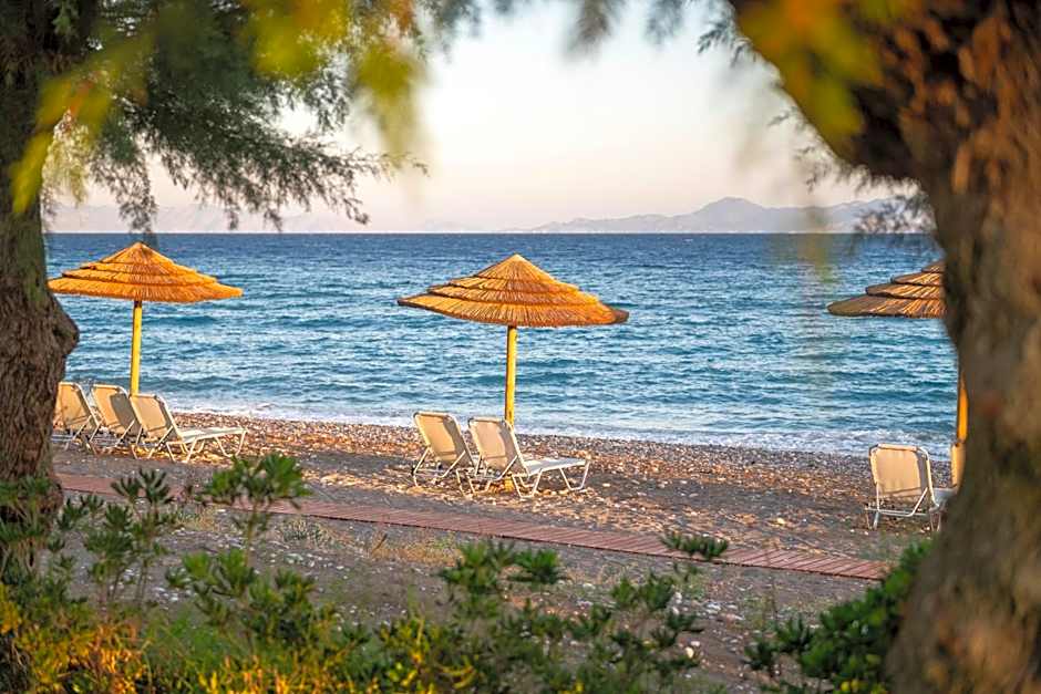 D'Andrea Mare Hotel