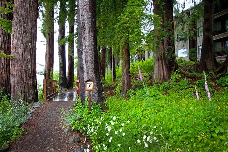 Lake Quinault Lodge