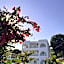 Maistrali Studios Skiathos