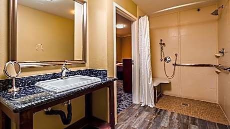 Accessible Suite Queen Bed Roll In Shower Non Smoking