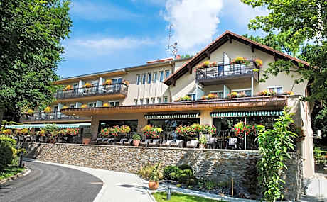 Hôtel Restaurant Logis Auberge Sundgovienne