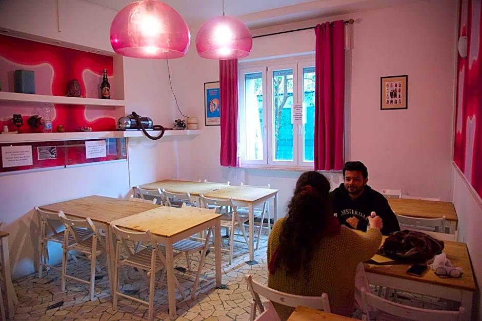 Sunflower City Student Hostel & Bar