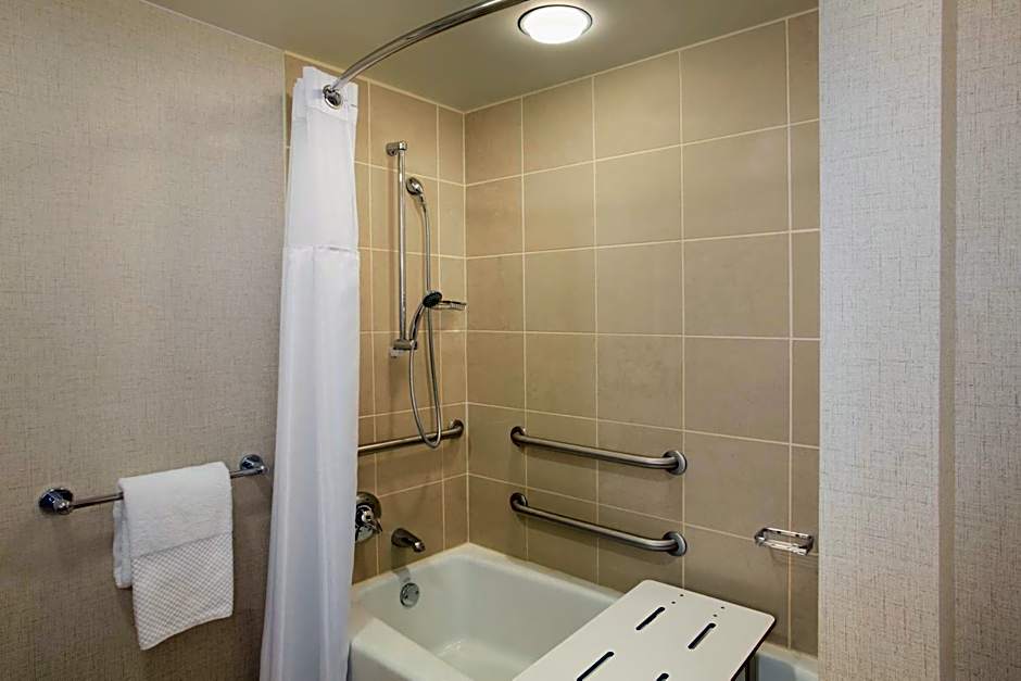 Hilton Chicago/Magnificent Mile Suites