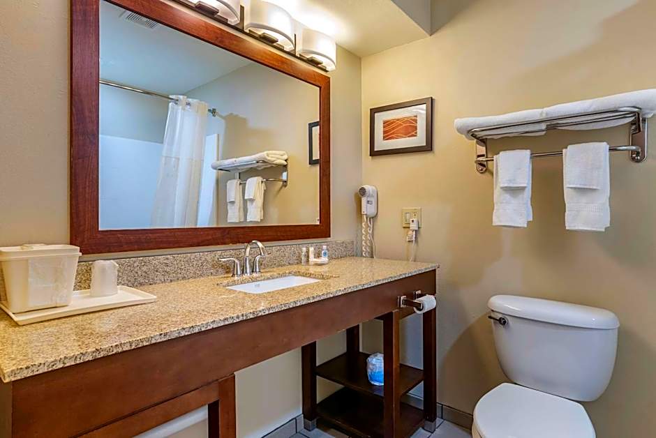 Comfort Inn Amite