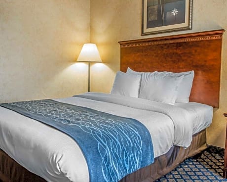 1 King Bed, Nonsmoking