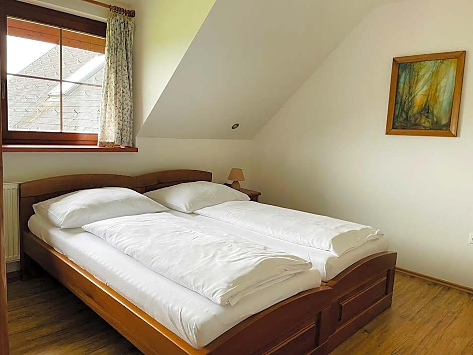 Penzion Pod Dratnikem