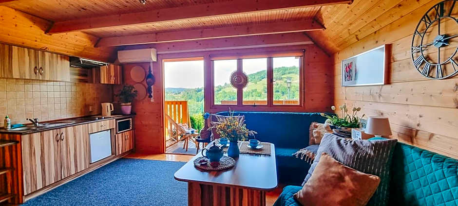 Zielone Wzgórza - Centrum Soliny - SPA