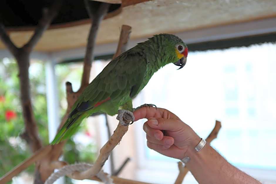 Hotel & Spa Gil de France Cap d'Agde