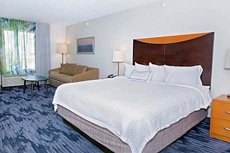 1 King Bed Mobility Accessible Room Roll-In shower Non-Smoking