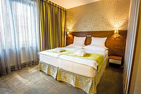 Double Room with Wellness Access