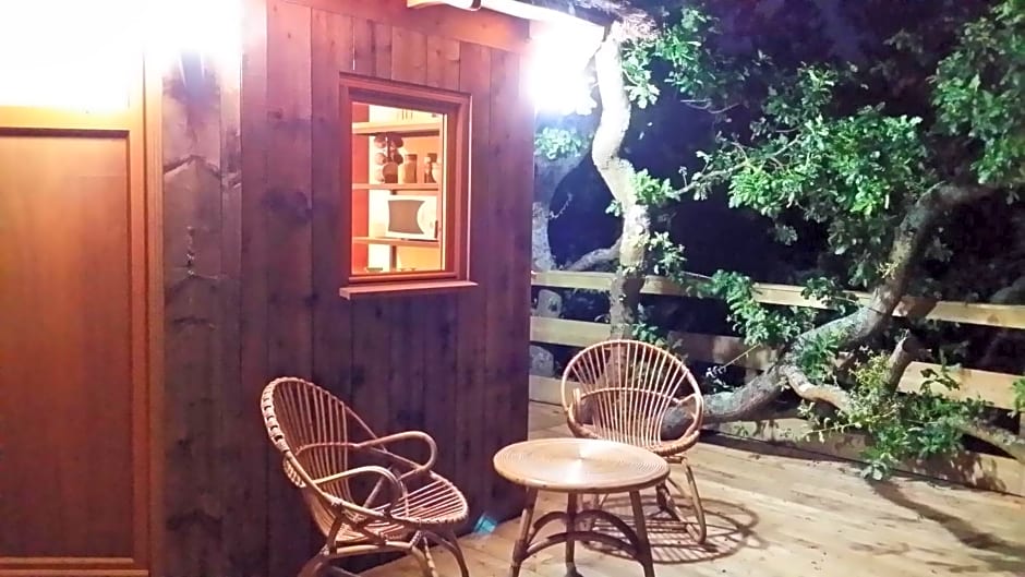 Cabane Perchée dans la prairie de l'ancien moulin