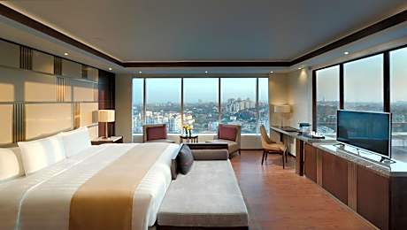 Presidential Suite The Level