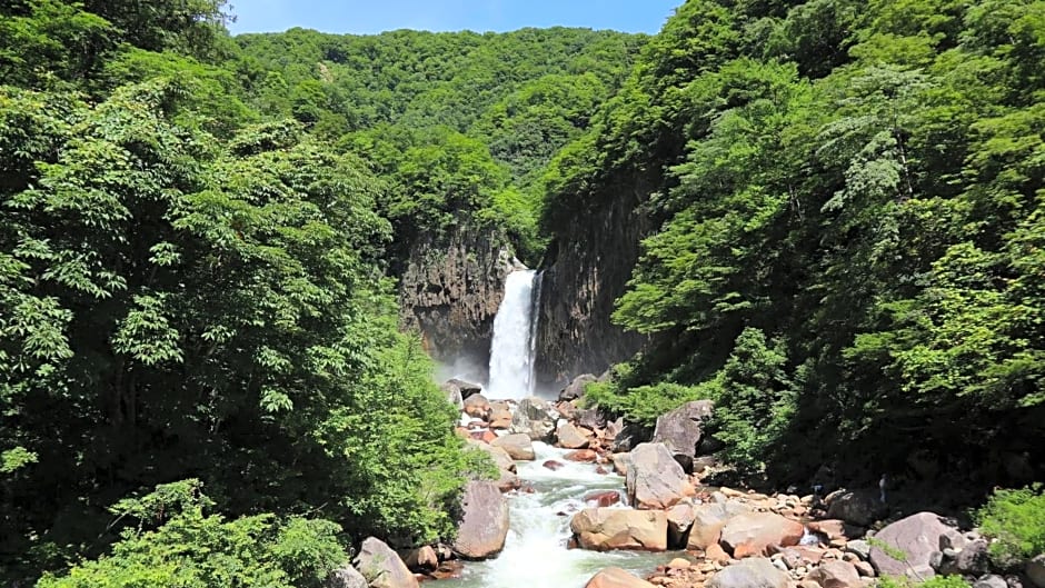 Log Pension Tomsoya