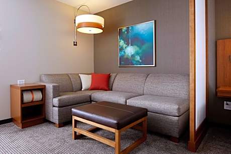 One-Bedroom King Suite with Sofa Bed