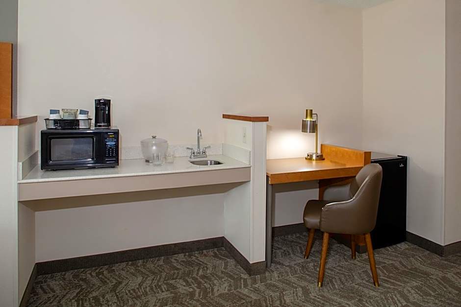 SpringHill Suites by Marriott Memphis East/Galleria