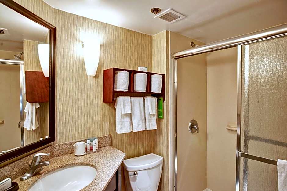 Hampton Inn By Hilton College Station