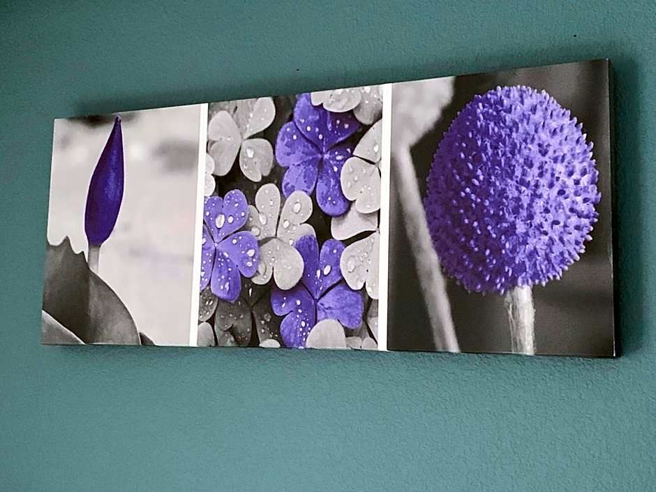 Sleep Inn & Suites California MD