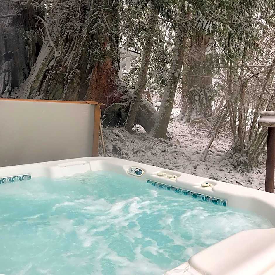 Mountain Meadows Inn & Chalet Suites