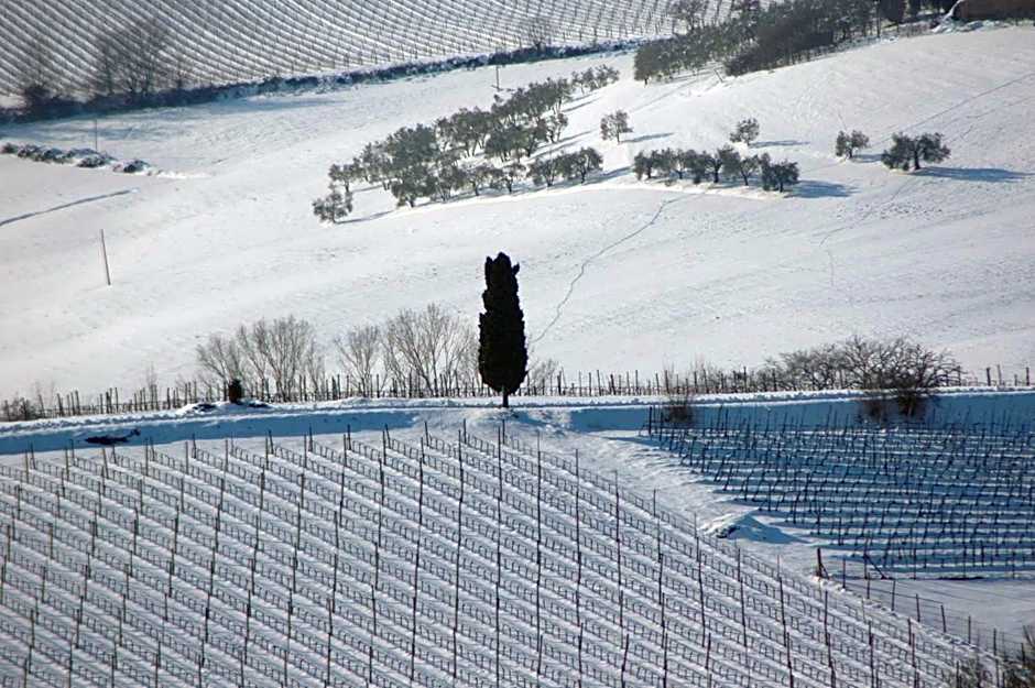 La Casa Delle Querce