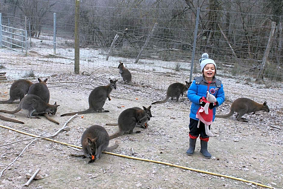 La Petite Ferme du Marais