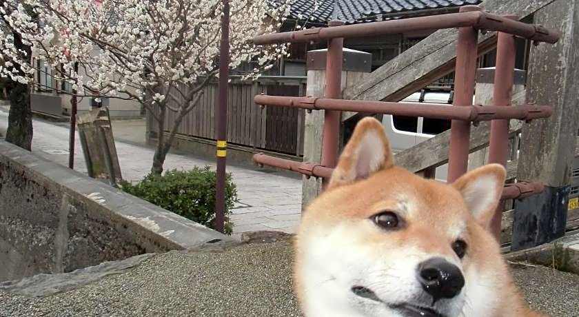 Kanazawa Share House GAOoo