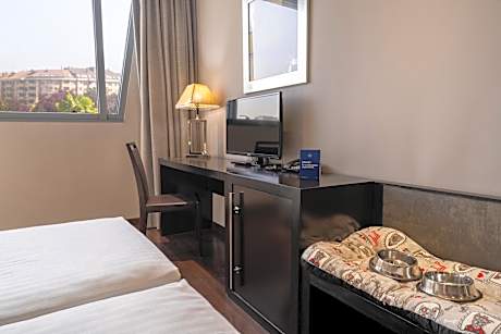 Double Room Single Use