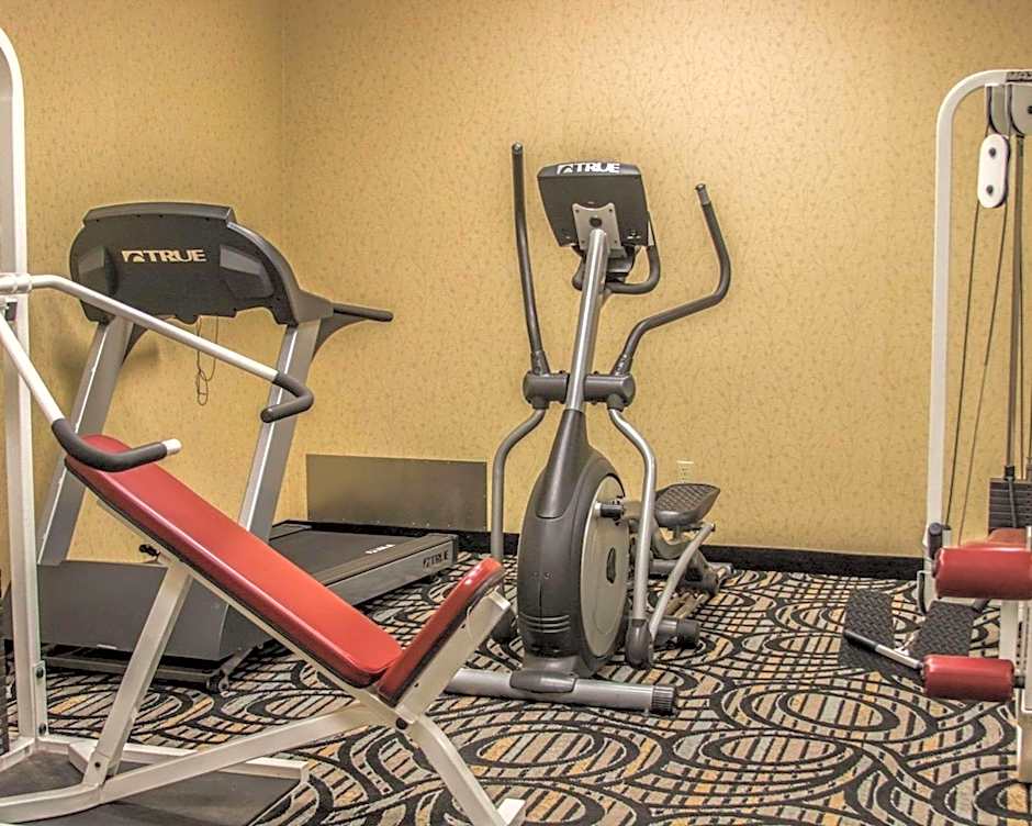 Comfort Inn Birch Run - Frankenmuth