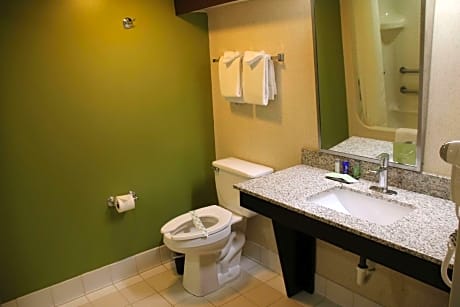 Queen Room - Accessible/Non-Smoking
