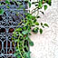 Riad Mhidou Marrakech