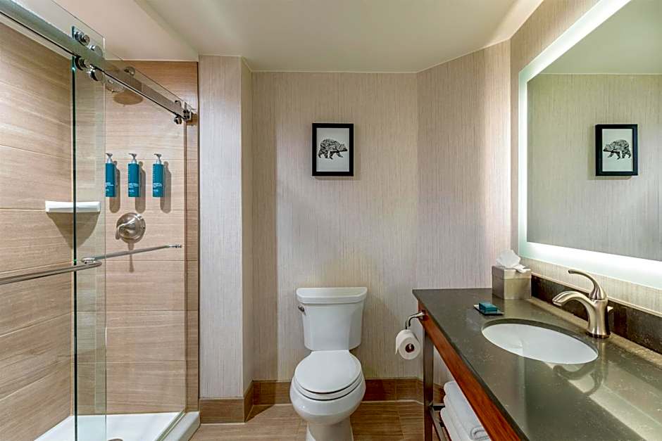 DoubleTree by Hilton Hotel Burlington Vermont
