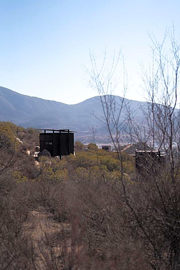 Encuentro Guadalupe