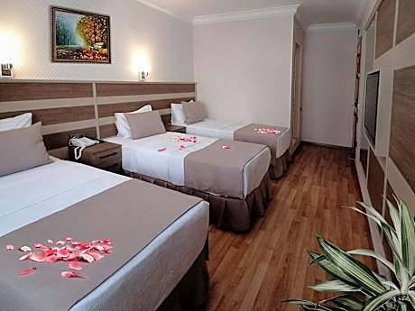 Bed & Breakfast Triple Room