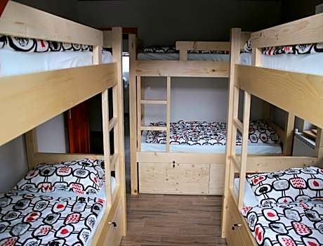 Bed in 6-Bed Mixed Dormitory Room