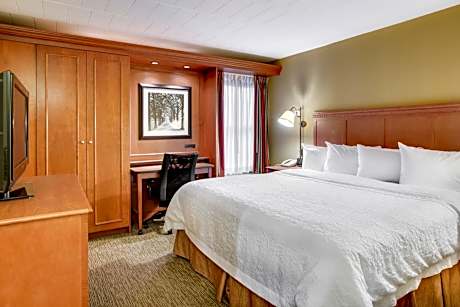 Non-Smoking - King Room