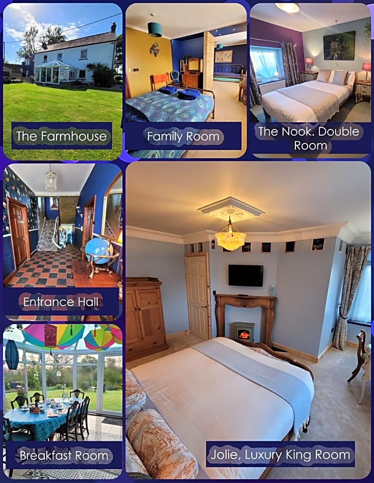 Farmhouse B&B Family stay or Romantic break, on our smallholding close to Narberth