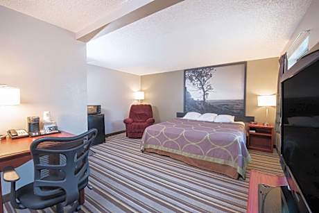 King Studio Suite/ Pet Friendly - Non-Smoking