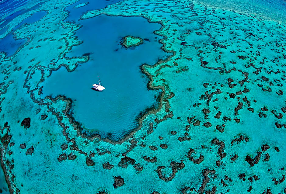 Palm Bungalows Hamilton Island