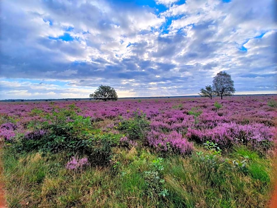 B&B Speulderveld