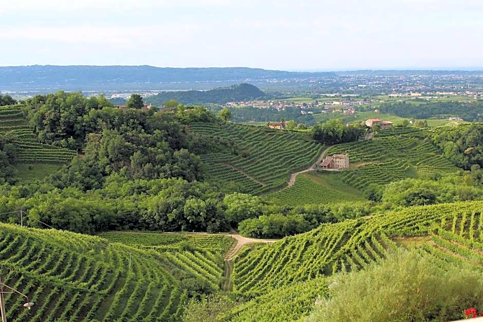 Wine Hotel San Giacomo Activity & Wellness