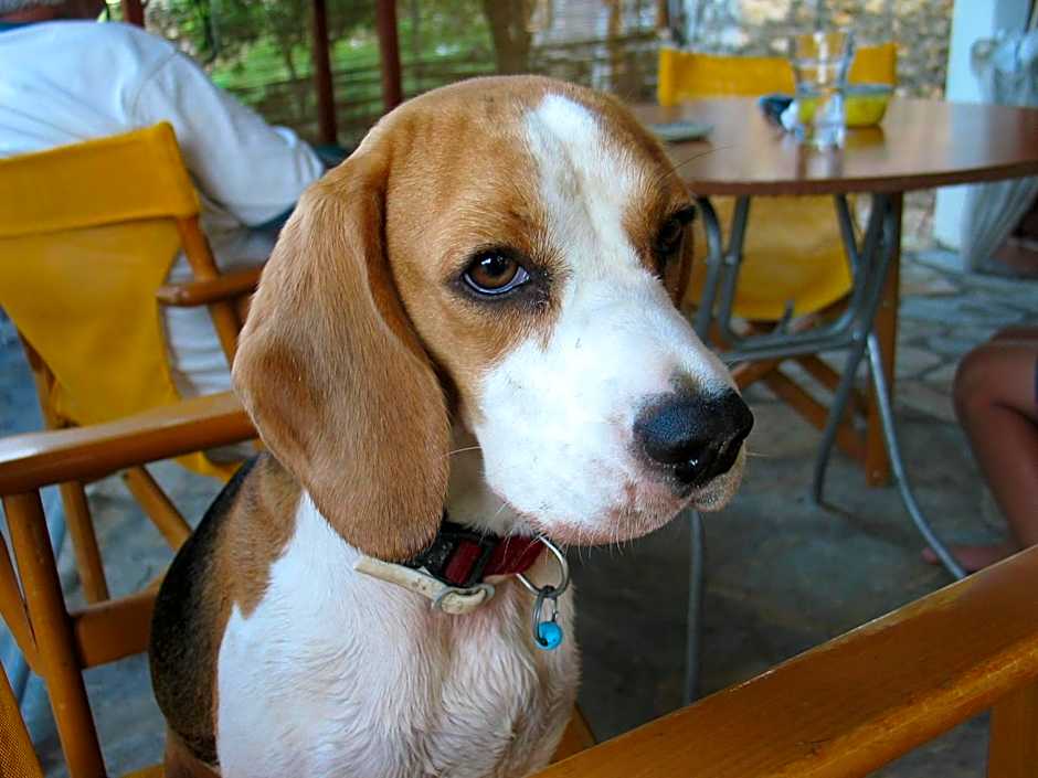 Archontiko Maisonettes