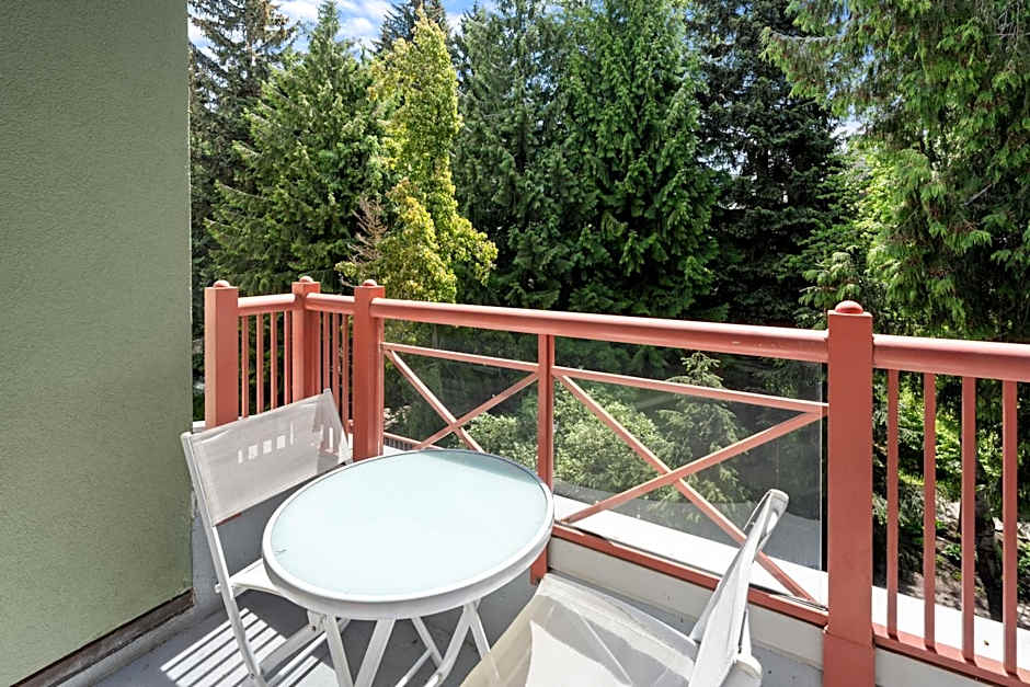 Alpenglow Lodge Bear Wonder One Bedroom by MVA