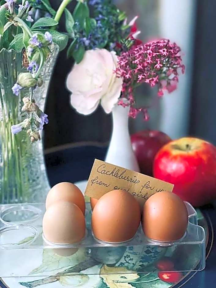 The Old Chaff Mill Organic Vineyard Retreat