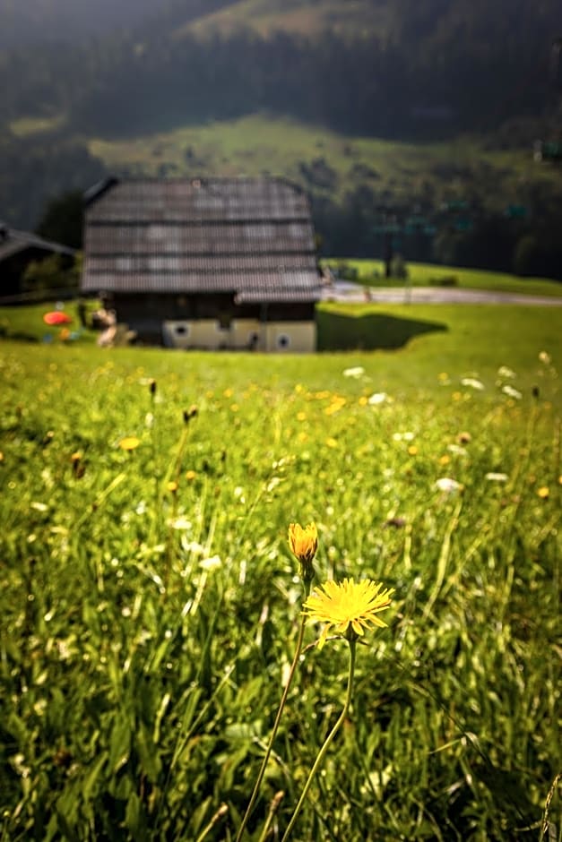 Ferienwohnung Schirla Stub´m