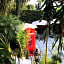 Hotel Grand Vista Cuernavaca